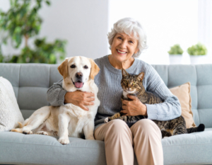 Nicht mehr allein: Frau mit Hund und Katze auf dem Sofa