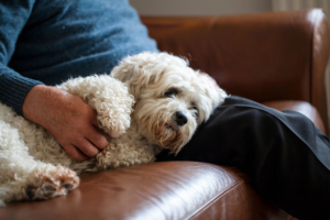 Mann mit Hund auf dem Sofa