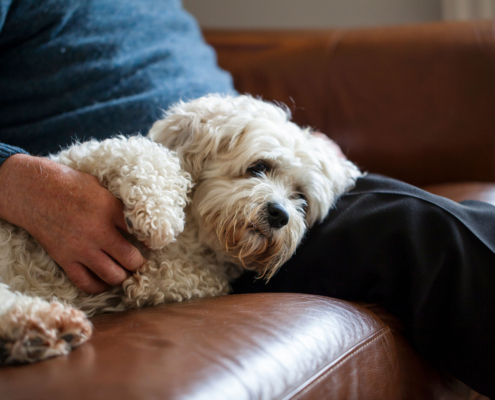 Mann mit Hund auf dem Sofa