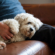 Mann mit Hund auf dem Sofa
